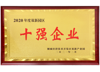 十強企業(yè)